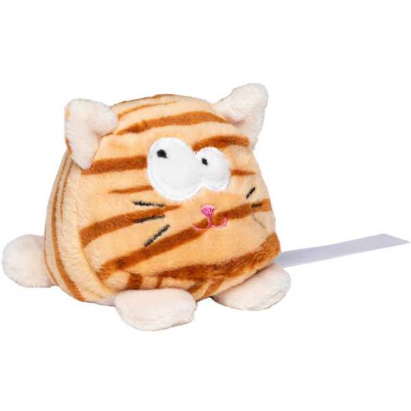 Schmoozies Katze